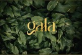 GALA